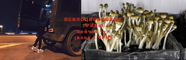 бутират Ханты-Мансийск