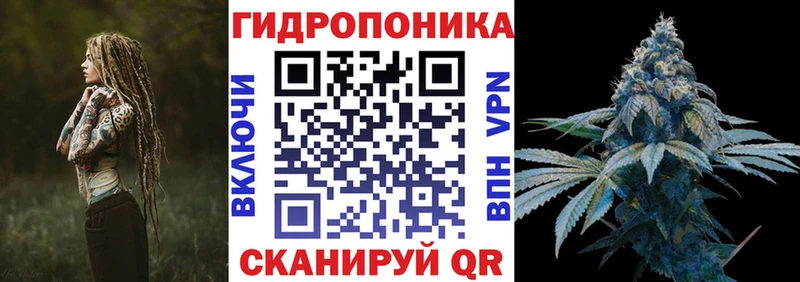 Бошки марихуана Amnesia  Купить закладки  Емва 